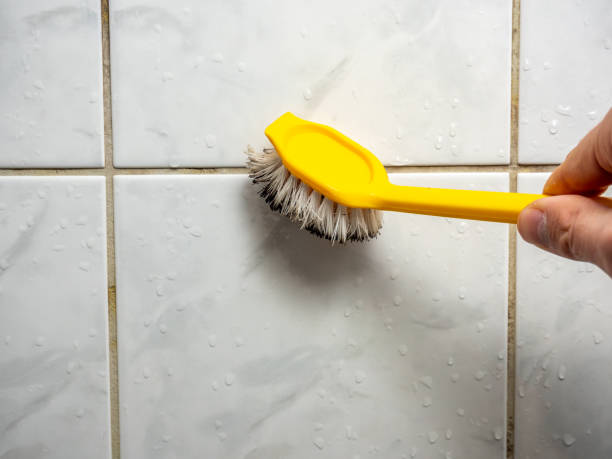 Best Attic Mold Removal  in Ashburn, GA