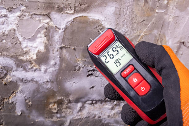 Best Residential Mold Removal  in Ashburn, GA