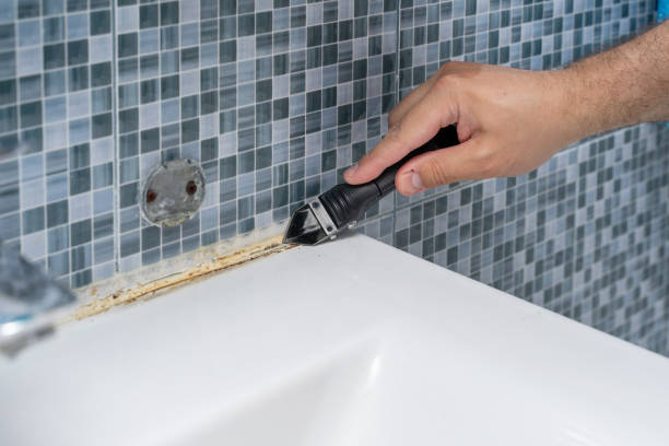 Best Mold Removal Near Me  in Ashburn, GA