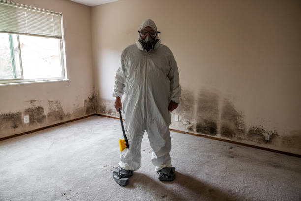 Best Same-Day Mold Removal  in Ashburn, GA